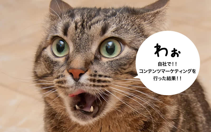 自社でもコンテンツマーケティングをやってみた結果!
